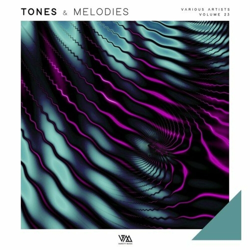 VA - Tones & Melodies Vol 23 [VMCOMP1180]